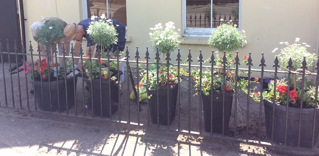 Planting by Air Quality Brentford