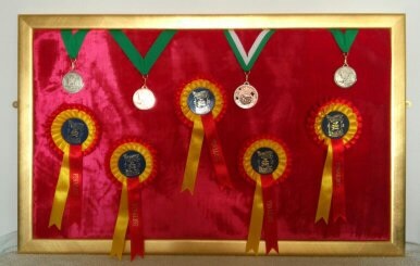 Framed medals