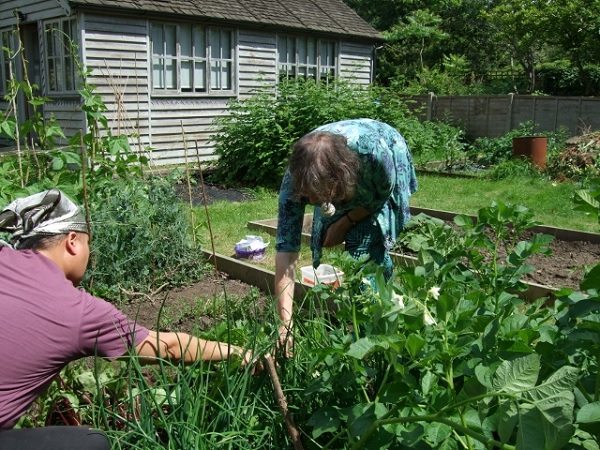 Allotment