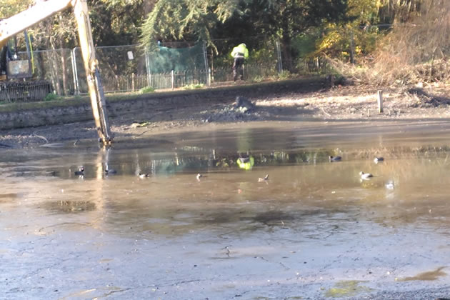 boston manor park lake being dredged