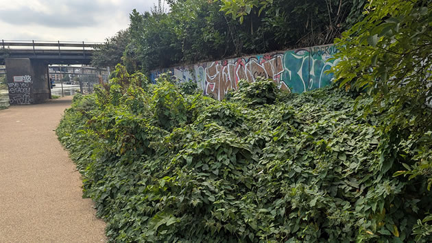 Canal towpath 