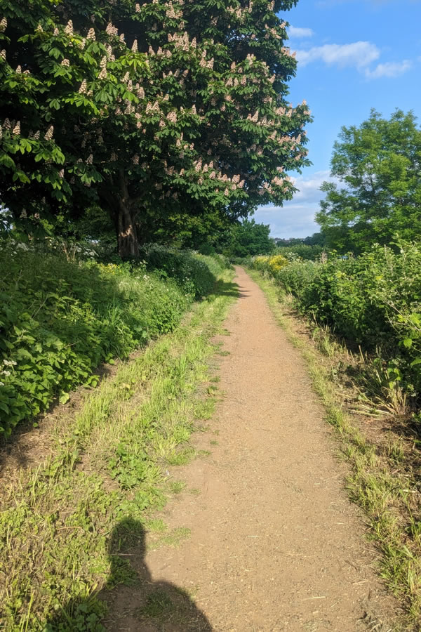 cycling thru dukes meadows