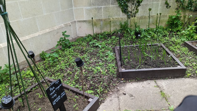 Small garden at Holly House