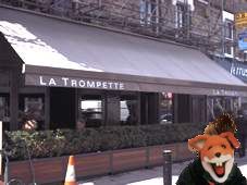 chiswick trompette fox