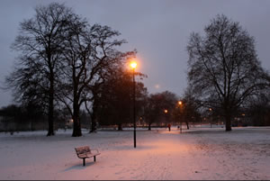 w4 in the snow