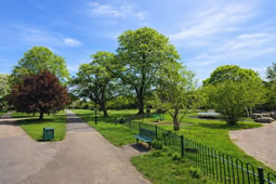 Male Fights for Life After Acton Green Common Attack
