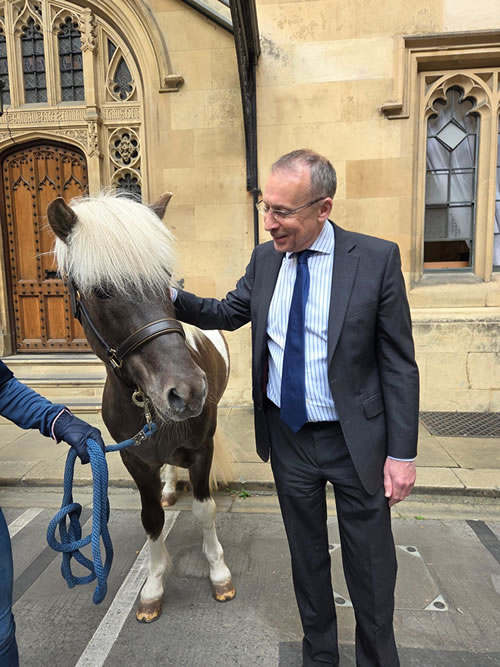a former Icelandic Horse World Champion