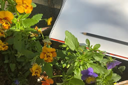 The Big Sketch at Chiswick House Kitchen Garden