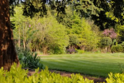 Chiswick House Gardens Hit by Spate of Plant Thefts