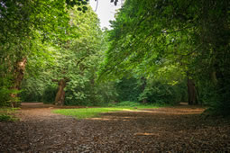 Plant Theft Continues at Chiswick House Gardens