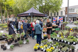 Flower Market Inviting Applications for Grants Programme