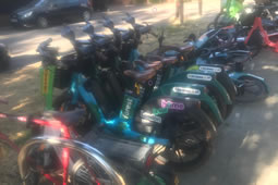 Forest E-bikes Now Operating All Over Chiswick