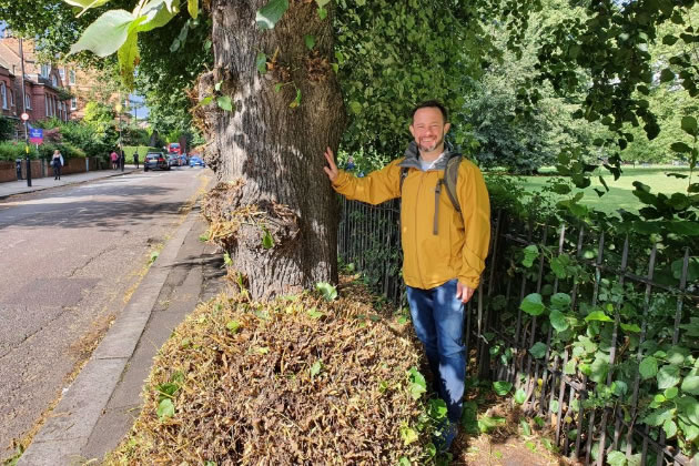Cllr Gary Malcolm next to a tree which has not been worked on 