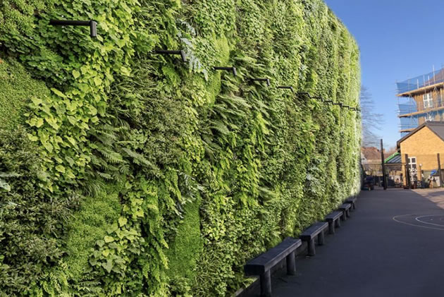 a green wall in a playgroud to absorb pollution 