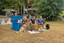 Chiswick Guide Dogs a Hit at Turnham Green Community Fair