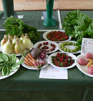 Chiswick Horticultural And Allotment Society Summer Show 