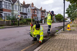 Glyphosate to Be Sprayed Across Chiswick This Month