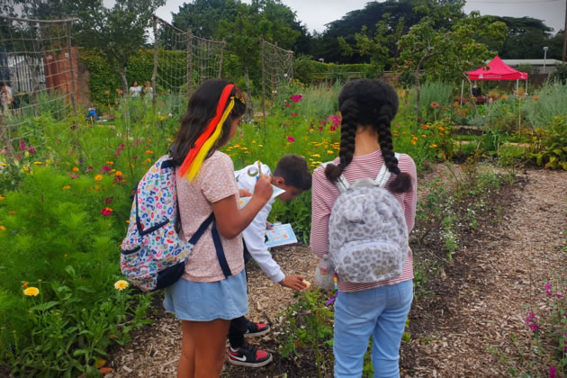 Pick up a free trail map and booklet to explore the Kitchen Garden