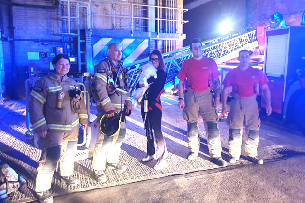 Cat rescued by firefighters from the roof of The Power House