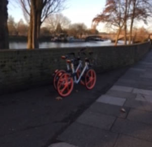 mobikes near river
