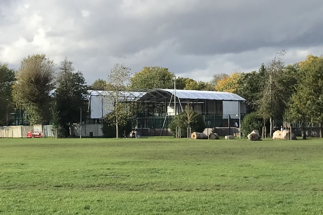 The canopy viewed from Chiswick Back Common 