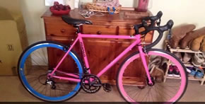 pink bicycle stolen in burglary at chiswick boathouse