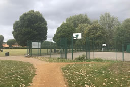 Southfield Park Floodlight Plan Sparks Wildlife Concerns