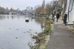 Strand-on-the-Green River Wall Project Moves Forward