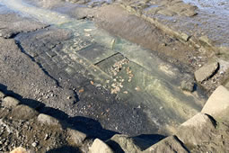 Misconnected Sewers Blamed for Strand on the Green Pollution