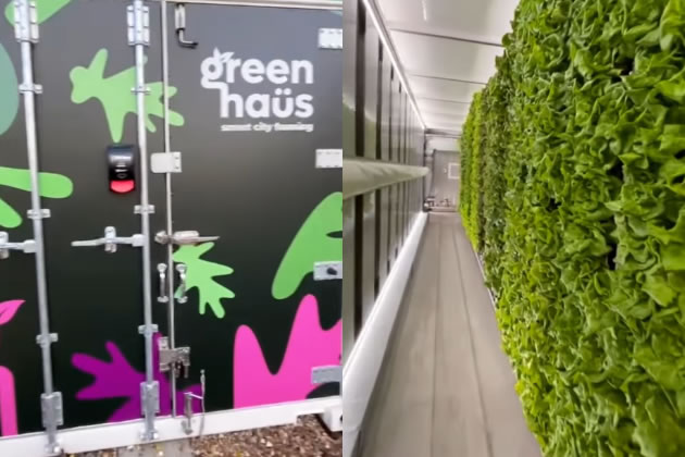 The exterior and interior of the vertical farm. Picture: Instagram