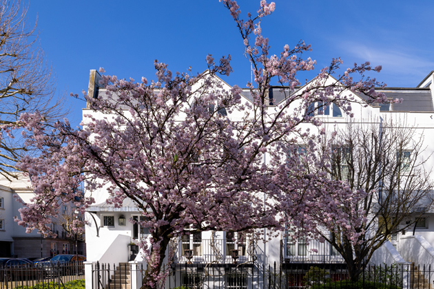 The Chiswick Property Market | What the headlines aren