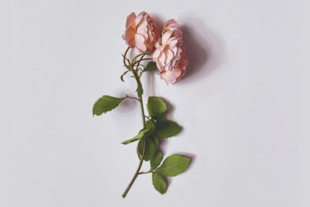 Alison Watt, The Day After (detail), 2023. Oil on canvas, 80×78cm