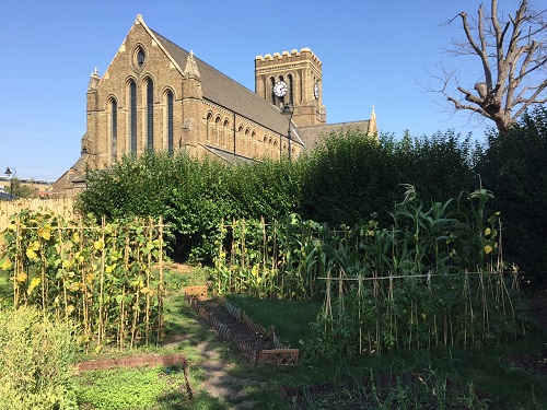 Northfield allotments