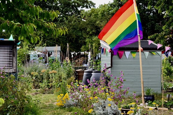 allotments - Liz Jenner