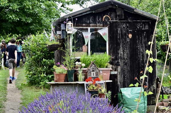 allotments - Liz Jenner