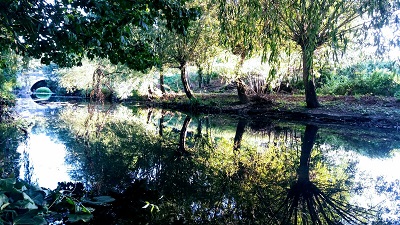 Liz Jenner garden