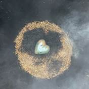 A heart shaped stone in a nest  Description automatically generated