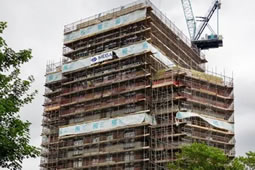 Campaigners Challenge Ealing Council