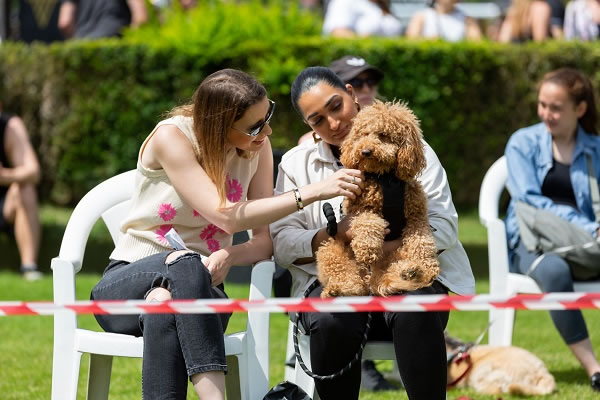 Battersea Park Dog Show