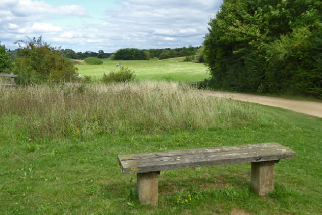 Bedfont Lakes is one area that could be rezoned