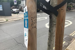 Opposition Says Tree Care in Ealing Borough 