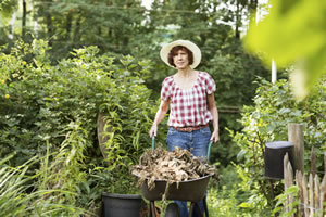 Early Bird Discount Offered to Garden Waste Subscribers 