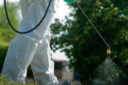 Council Offers Residents Glyphosate Opt Out