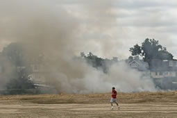 Wildfire Takes Hold in Gunnersbury Park