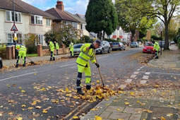 Call for Action on Leaf Clearing and Street Lighting 
