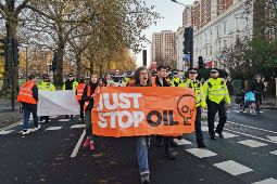 Just Stop Oil Hold Protest By Shepherd