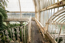 Kew Garden