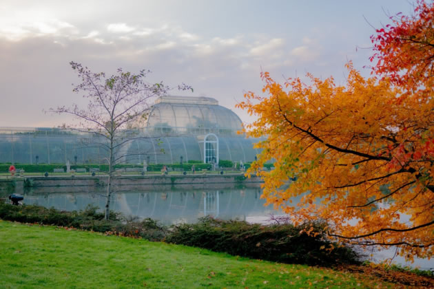 Palm House, Kew Gardens