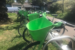 Has Hounslow Council Made an Error in Dumping Lime?