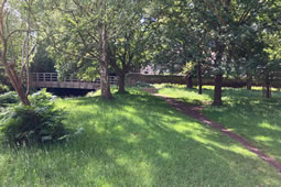 Beverley Brook Restoration Given the Go Ahead